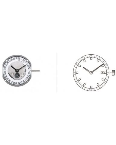 MIYOTA GN17 S/S D3