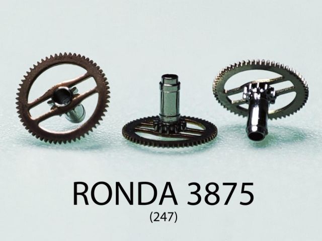 RONDA 3875 #247