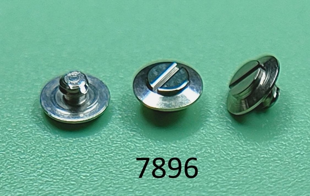 RX 1530-7896 SCREW FOR CASE (HEAD BEVELLED)