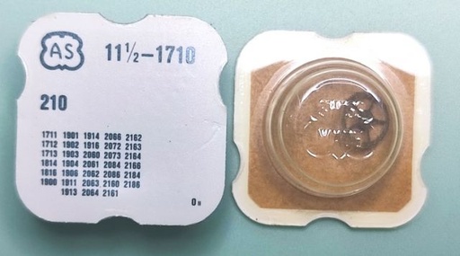 [AS1710-210] AS 1710 #210