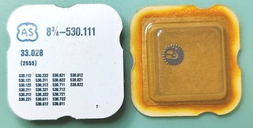 [AS530111-255] AS 530.111 #255 H 197