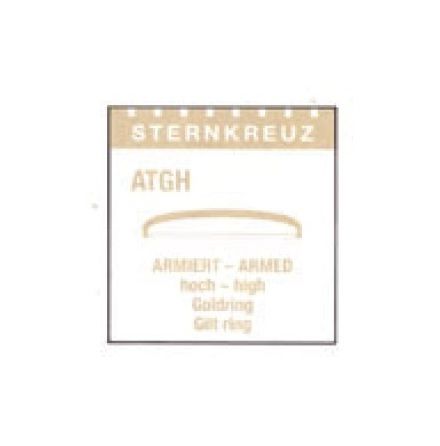 [ATGH-316] PLEXIGLAS GOLD RING Ø 316