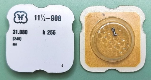 [FHF908-245] FHF 908 #245 h 255