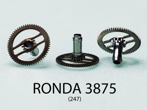 [RLM3875-242] RONDA 3875 #247