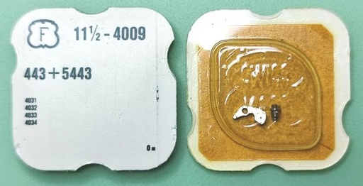 [FEL4009-443] FELSA 4009 #443/5443