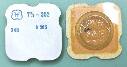 [FHF352-240] FHF 352 #240 h 305