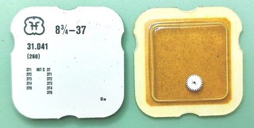 [FHF37-260] FHF 37 #260