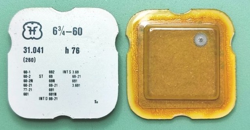 [FHF60-260] FHF 60 #260 h 76