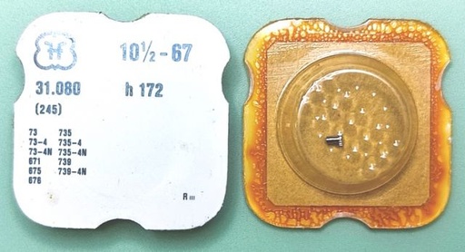 [FHF67-245] FHF 67 #245 h 172