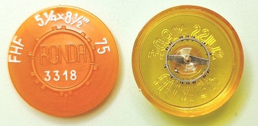 [FHF75-721] FHF 75 #721