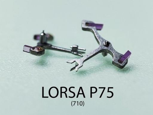 [LORP75-710] LORSA P75 #710